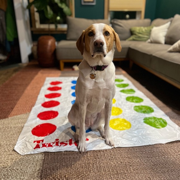 Meet your Posher, Sue - Picture 8 of 11